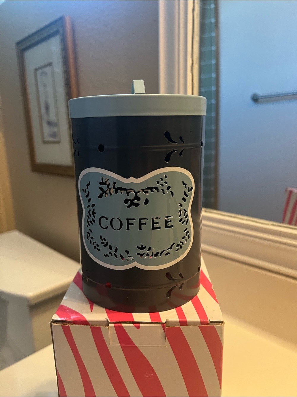 Pink Zebra Gray and Light Blue Coffee Canister